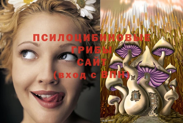 меф Мегион