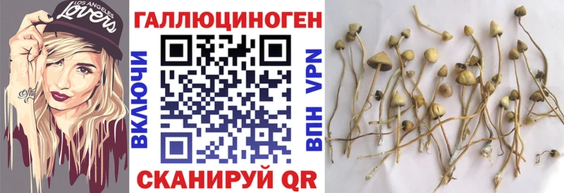 Псилоцибиновые грибы прущие грибы Сергач